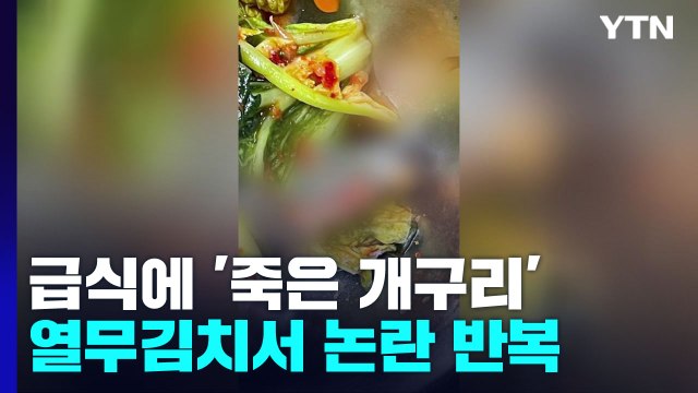 [취재N팩트] 학교 급식에 또 '죽은 개구리'...교육청, 열무김치 식단 제외 / YTN