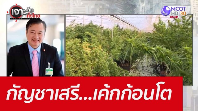 กัญชาเสรี...เค้กก้อนโต : เจาะลึกทั่วไทย (16 มิ.ย. 65)