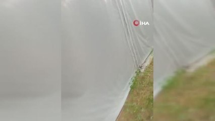 İzmir'de horoz dövüşü baskını kamerada