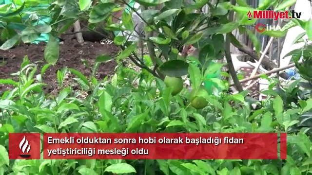 Emekli olduktan sonra hobi olarak başladığı fidan yetiştiriciliği mesleği oldu