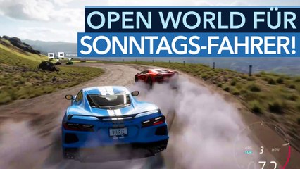 Forza Horizon 5 soll allen gefallen: Muss das sein?