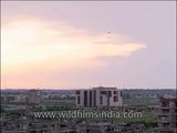 Air Sahara plane landing at Indira Gandhi International Airport, Delhi
