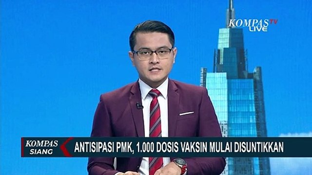 Menunggu Kloter Berikutnya, 1.000 Dosis Vaksin Penyakit Mulut & Kuku Disuntikkan ke Ternak!