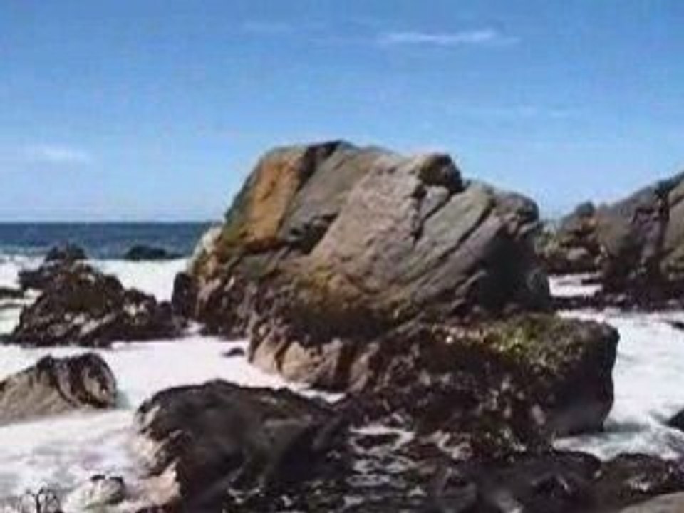 Playamariscos