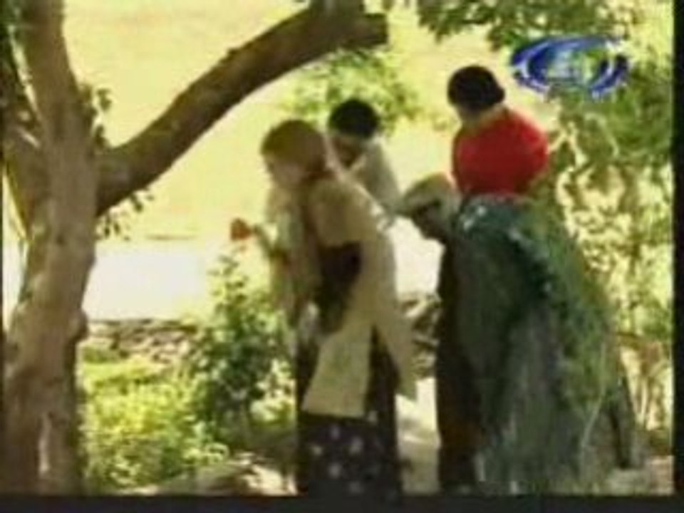 Palwasha Pasrt 6_1