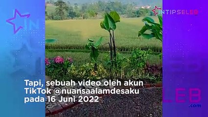 MIRIS! Bukannya Berdoa, Makam Eril Malah Jadi Tempat Selfie