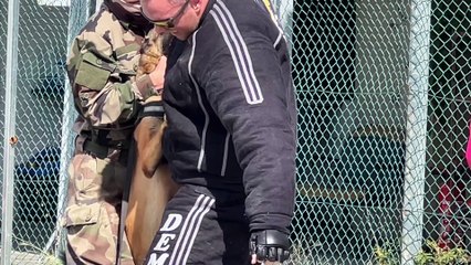 Premier séminaire canin de la Réunion