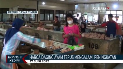 Download Video: Harga Daging Ayam Tembus 35 Ribu Rupiah Per Kilogram