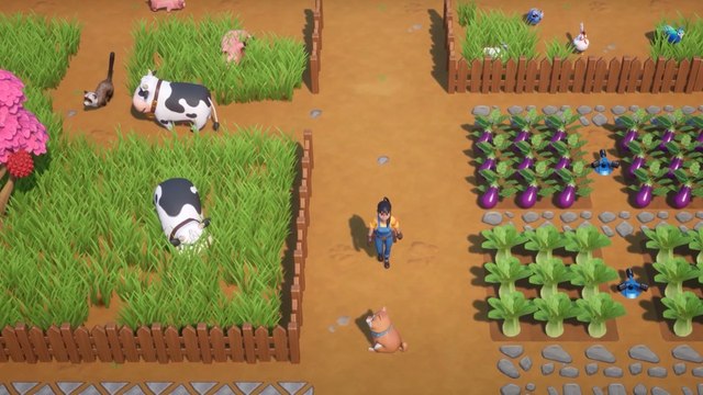 Coral Island - In der Farming-Sim kümmert ihr euch um Schleichkatzen, Wachteln und mehr