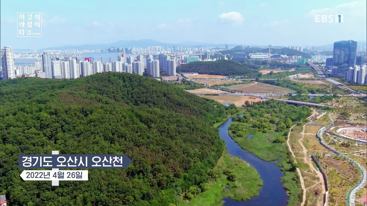 이것이 야생이다 3 - 도시의 야생 최강자들_#001
