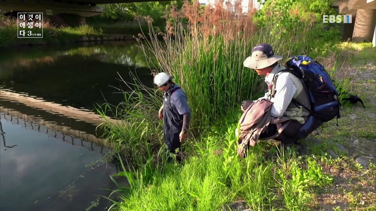 이것이 야생이다 3 - 도시의 야생 최강자들_#002