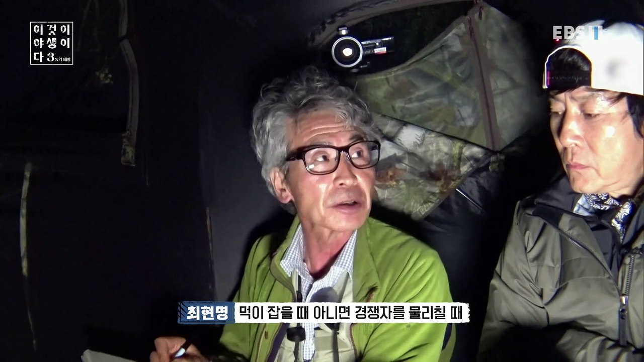 이것이 야생이다 3 - 도시의 야생 최강자들_#003