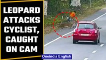 Leopard attacks cyclist in Kaziranga National park, incident caught on CCTV | Oneindia News *News