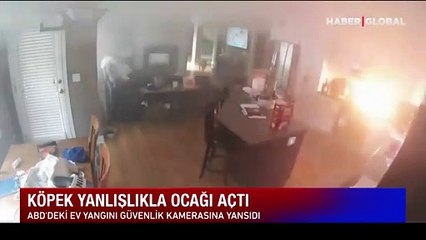 Acıkan köpek yanlışlıkla ocağı açtı yangın çıkardı o anlar kamerada
