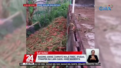 Bagong-aning carrots mula Tinoc, Ifugao, itinapon na lang dahil hindi maibenta | 24 Oras