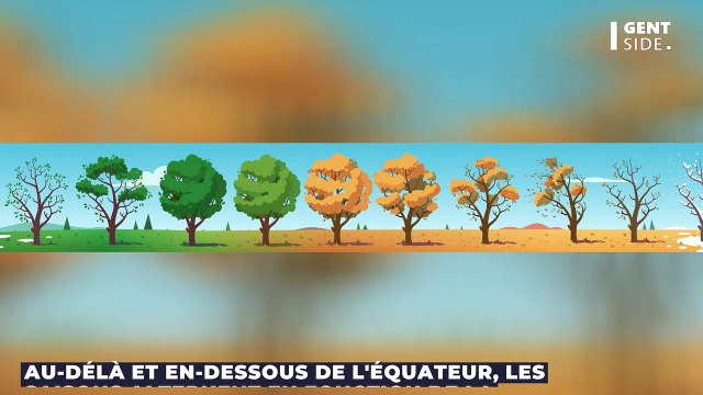 Quelle est la différence entre un équinoxe et un solstice ?