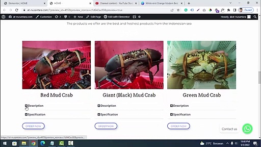 REVIEW WEBSITE EXPORT KEPITING (ASSIST TRADE NUSANTARA )