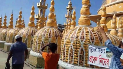 ২০১ গম্বুজ মসজিদের ছাদ, না দেখলে চরম মিস।