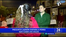 Ate: presunto ladrón dispara contra perro que cuidaba a vecinos