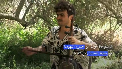 موسيقي إسرائيلي يحظى بشعبية في إيران رغم استحالة زيارته لها