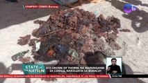 613 Crown of Thorns na mapanganib sa corals, nakolekta sa Boracay | SONA