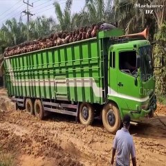 SKIL TINGGKAT DEWA NYALI NYALI AJA TAK CUKUP BOOOSSSS!!!!!