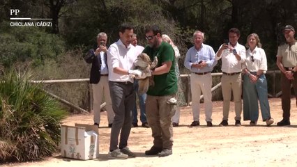 Las imágenes de la campaña electoral de Andalucía del 16 de junio