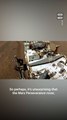Mars Perseverance Rover Adopts Pet Rock