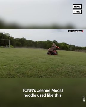 Texas Man Goes Viral for Battling Pet Emu With Pool Noodle