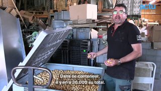 Jean-Yves est le dernier fabricant de cochonnets en France
