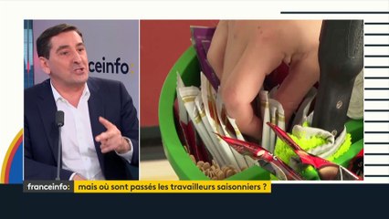Roland Gomez, directeur général de Proman : « Ce qui nous manque, ce sont des travailleurs sans qualification »