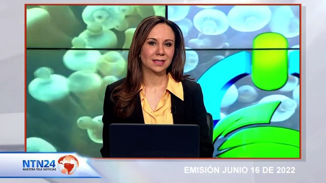 Alerta mundial por aumento de desastres naturales provocados por el cambio climático