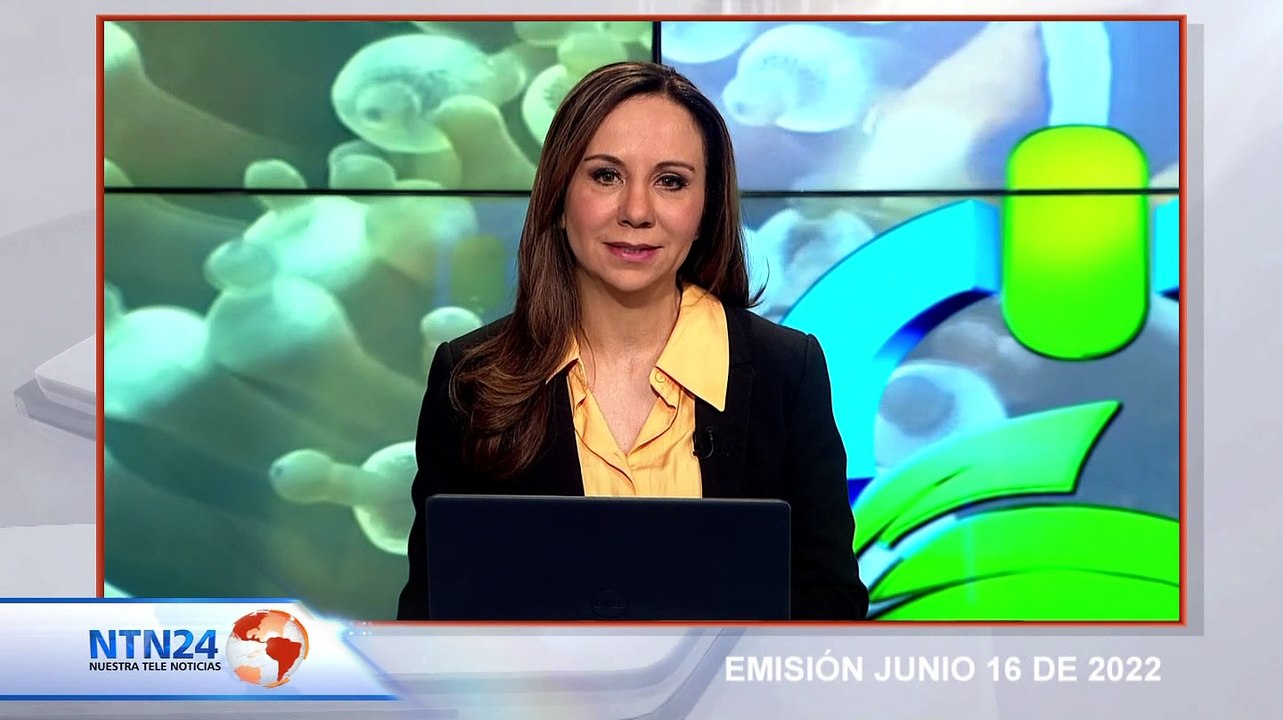3.400 niños prematuros murieron víctimas de la contaminación del aire en Bogotá durante 2021