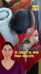 Un perrito abandonado en medio del mar fue rescatado por el capitán de un barco