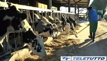Video News - FILIERE AGRICOLE AUTOSUFFICIENTI