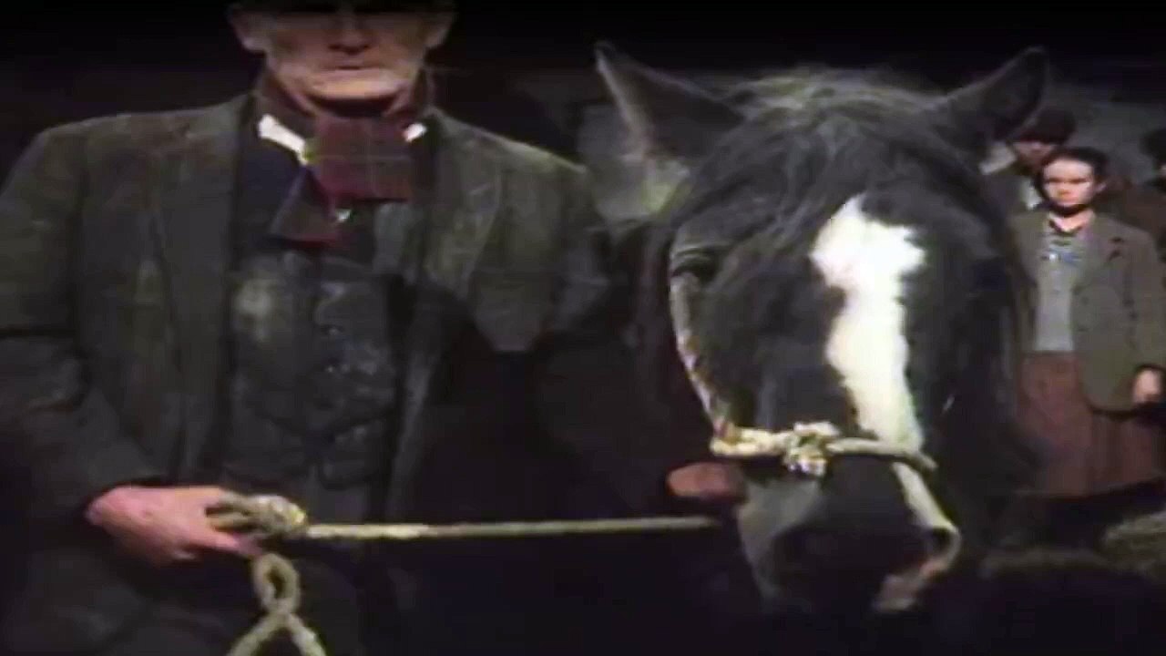 Der Doktor und das liebe Vieh Staffel 1 Folge 9 HD Deutsch