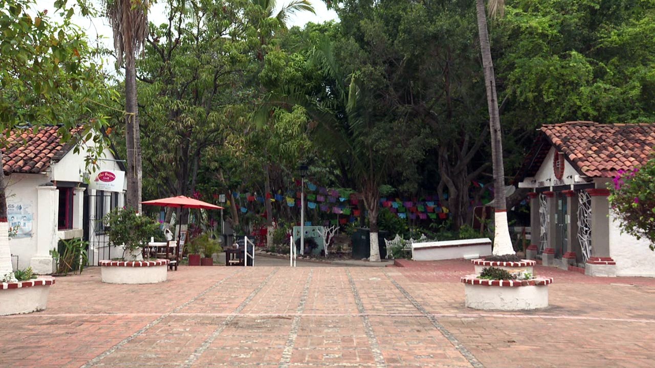 Amplían convocatoria del Consejo Municipal para la Cultura y las Artes| CPS Noticias Puerto Vallarta