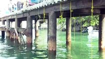 Tendrá la comunidad de Boca de Tomatlán un nuevo muelle | CPS Noticias Puerto Vallarta
