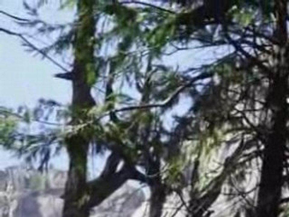 Yosemite falls!!