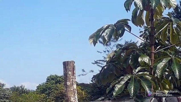 Airbus A320 PR-MHA e Boeing 737-800 PR-GTH ambos vindos de Brasília para Manaus