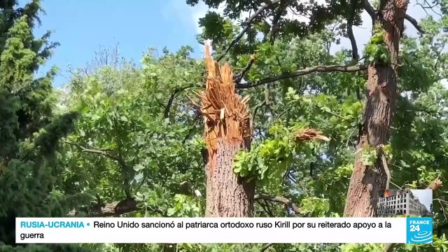 Irpin y Bucha: las consecuencias medioambientales de la guerra en Ucrania