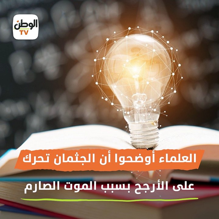 الميت شاور للناس بإيده في القبر..حقيقة فيديو أثار الرعب على السوشيال ميديا
