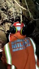 Bombeiros salvam cachorrinhos de buraco