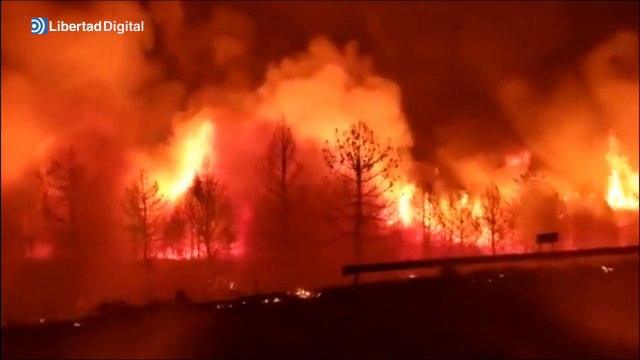 Así se ha quemado parte de la Sierra de la Culebra en Zamora