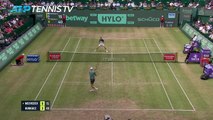 Halle - Medvedev balayé par Hurkacz en finale