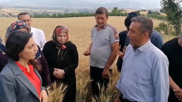 Köylüler, verimli tarım arazilerine OSB yapılmak istenmesine karşı çıktı