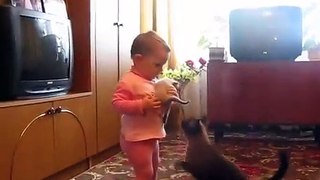 Mama Cat Takes Back Crying Kitten From Toddler