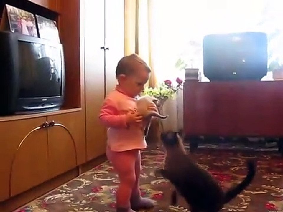 Mama Cat Takes Back Crying Kitten From Toddler