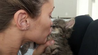 Giving a Sleepy Kitten Kisses