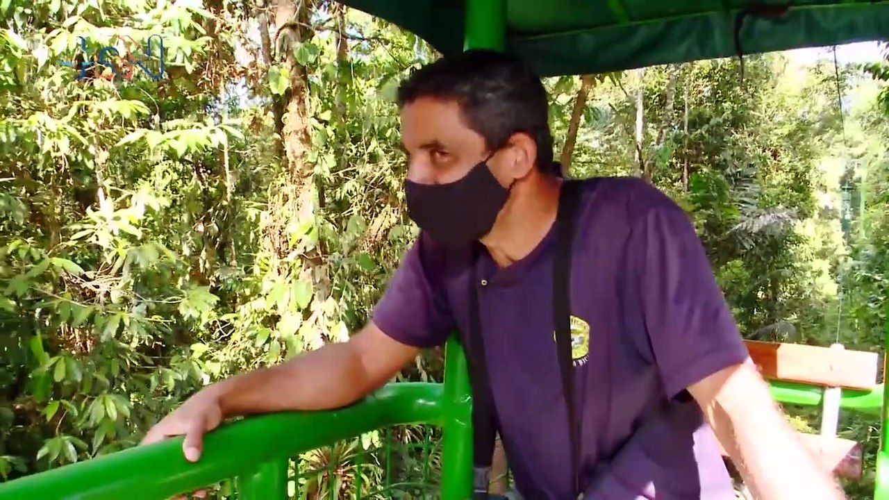 mqn'Este tico trabaja todo el día en las copas de los árboles'160622